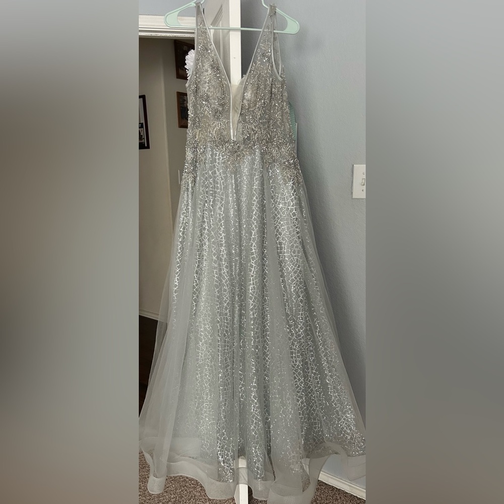 Elegant Silver and White Gown